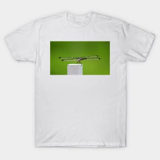 Dragonfly Wings T-Shirt
